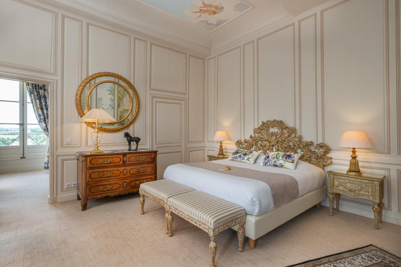 Chateau De Rochecotte Saint-Patrice Ngoại thất bức ảnh